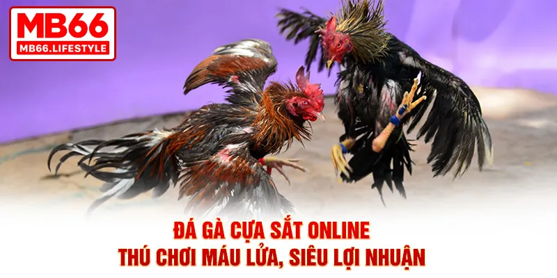 đá gà cựa sắt online