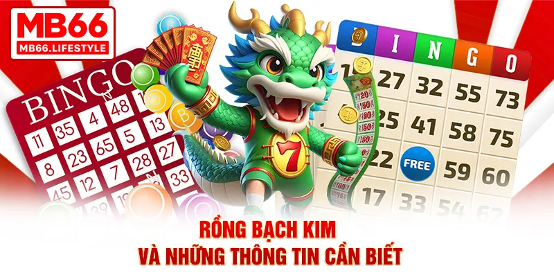 Rồng Bạch Kim và những thông tin cần biết