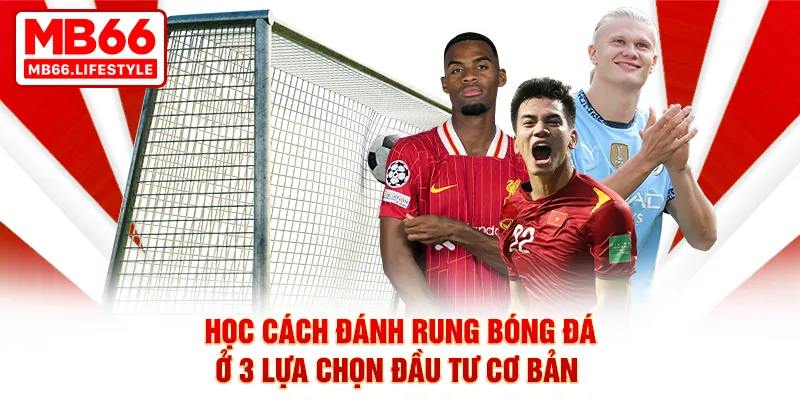 Học cách đánh rung bóng đá ở 3 lựa chọn đầu tư cơ bản
