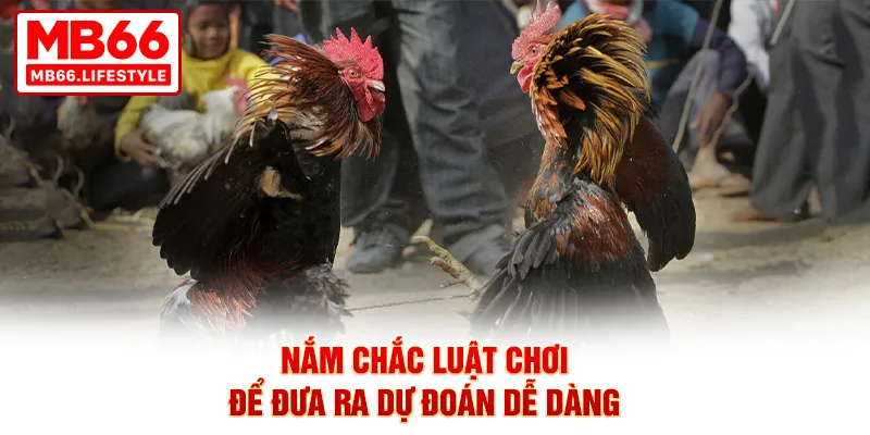 Nắm chắc luật chơi để đưa ra dự đoán dễ dàng