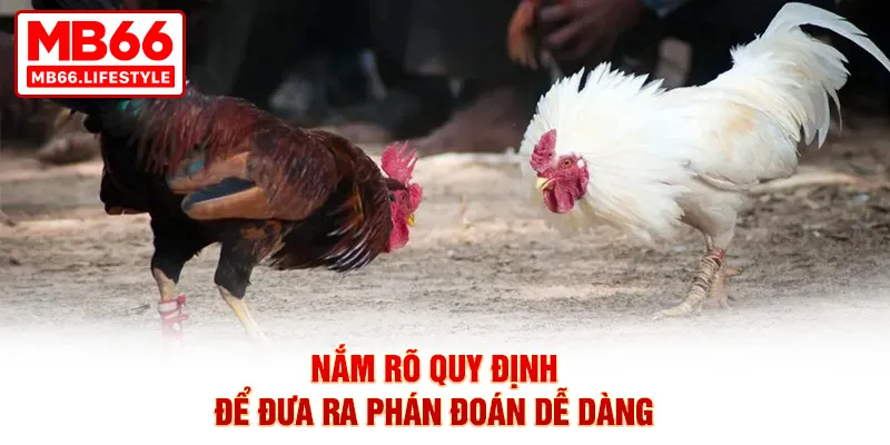 Nắm rõ quy định để đưa ra phán đoán dễ dàng