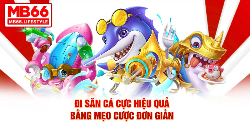 Đi săn cá cực hiệu quả bằng mẹo cược đơn giản