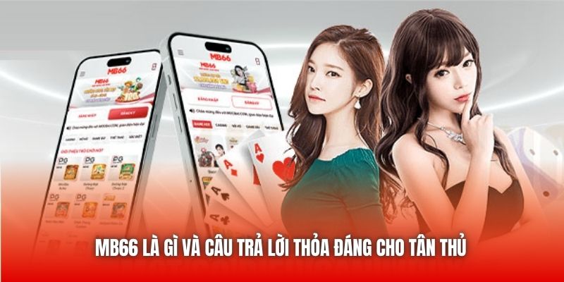MB66 là gì và câu trả lời thỏa đáng cho tân thủ