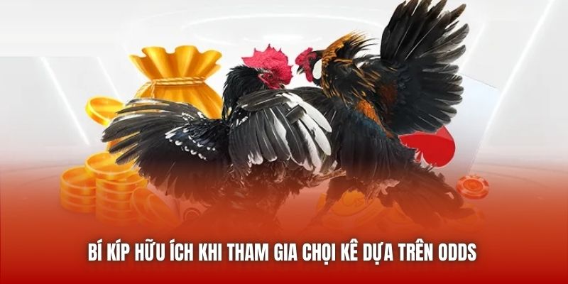 Bí kíp hữu ích khi tham gia chọi kê dựa trên odds